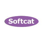Disco Ball Heads entertainment at corporate events for Softcat